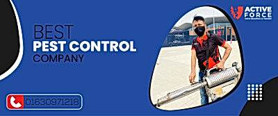 best pest control company | Active Force